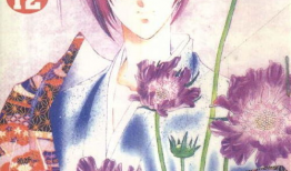 天国少女动漫,穿越时空的青春恋曲